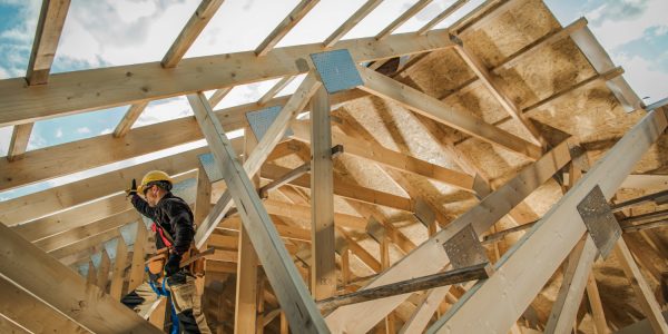 Timber frame building and the Wkb